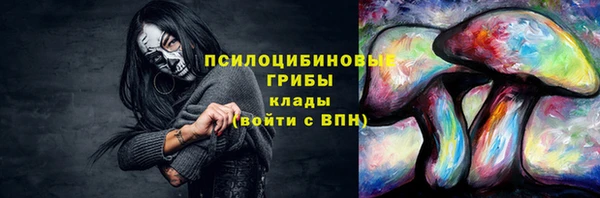 первитин Новозыбков