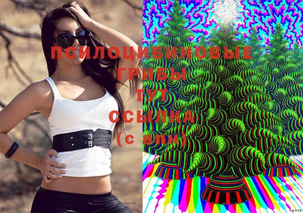 ешки Новокубанск