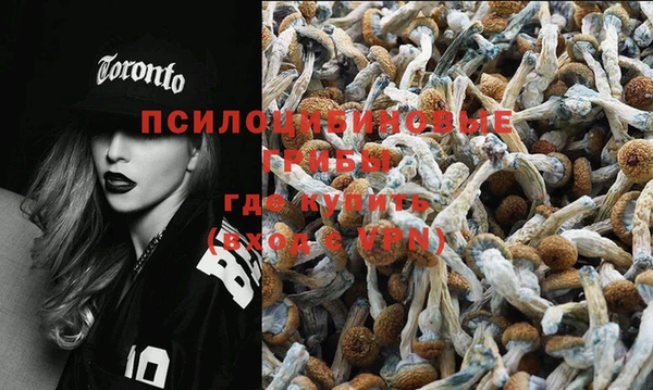 первитин Новозыбков