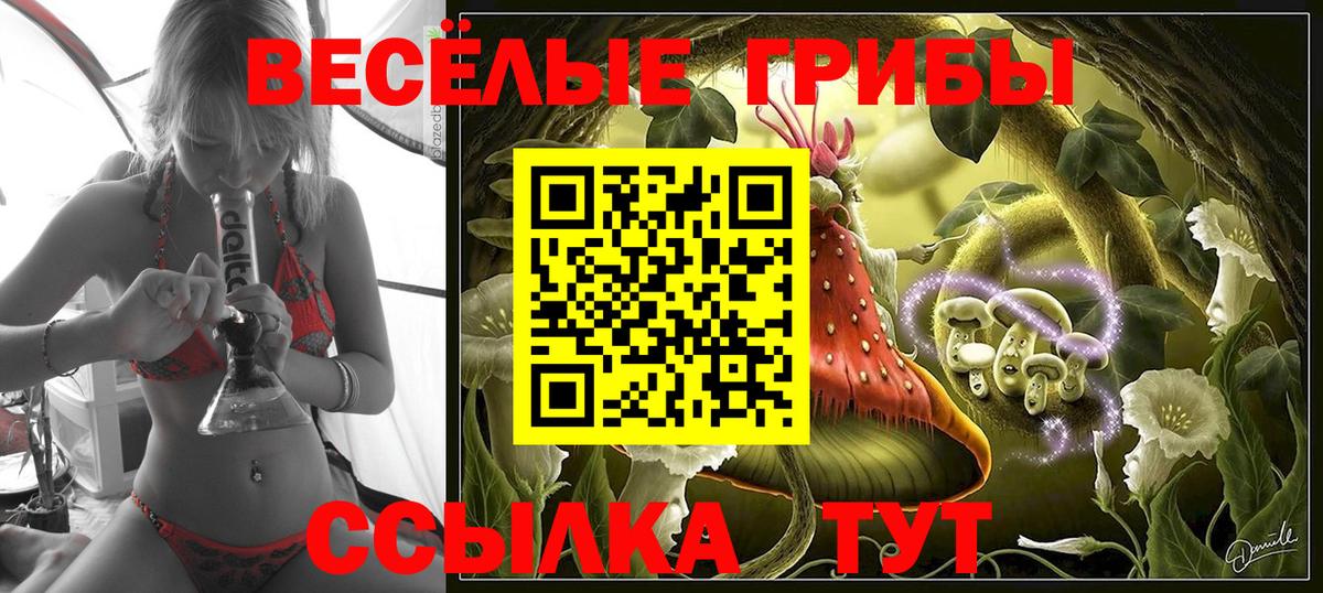 цена наркотик  Псилоцибиновые грибы мухоморы  Вход с VPN  Мытищи 